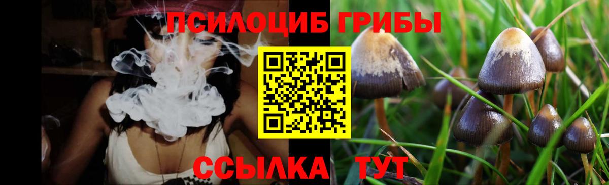 Псилоцибиновые грибы Magic Shrooms Клин
